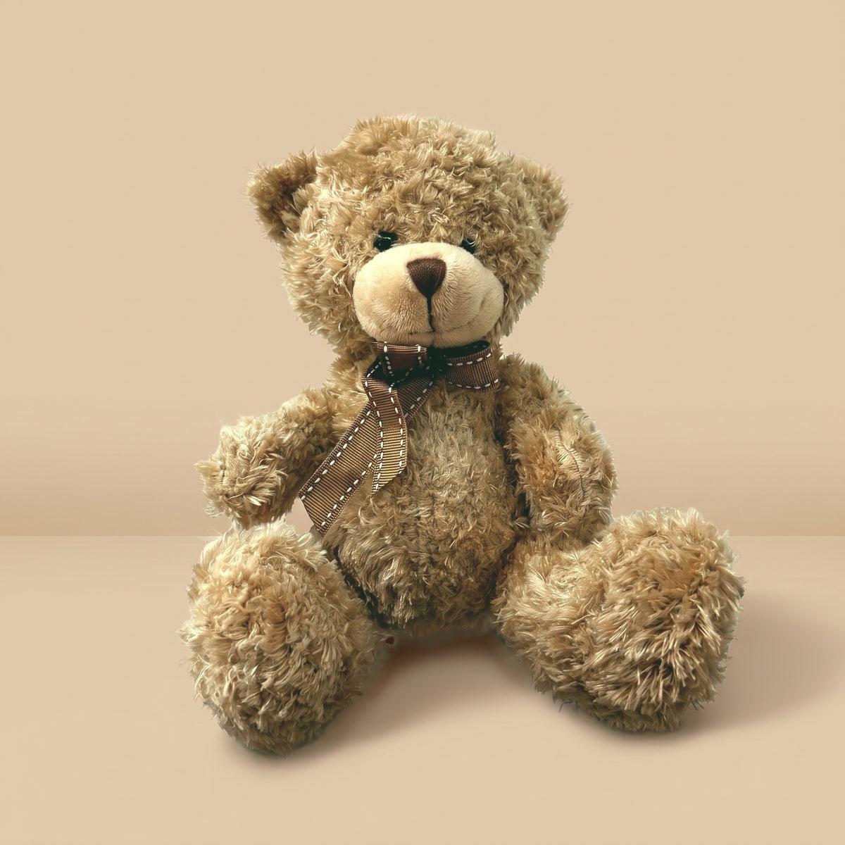 Charle Petit Ours brun, seul sur fond studio
