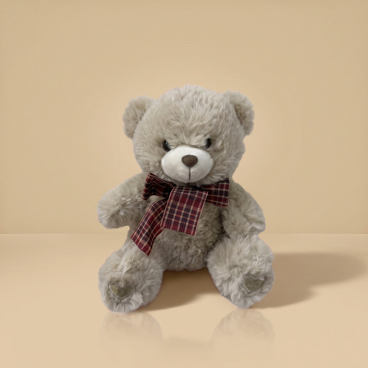 Charle Petit Ours grey, seul sur fond studio