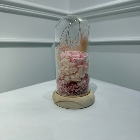 Cloche - Éclat de Tendresse