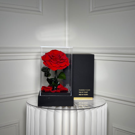 rose eternelle rouge dans coffret avec socle et boite luxe
