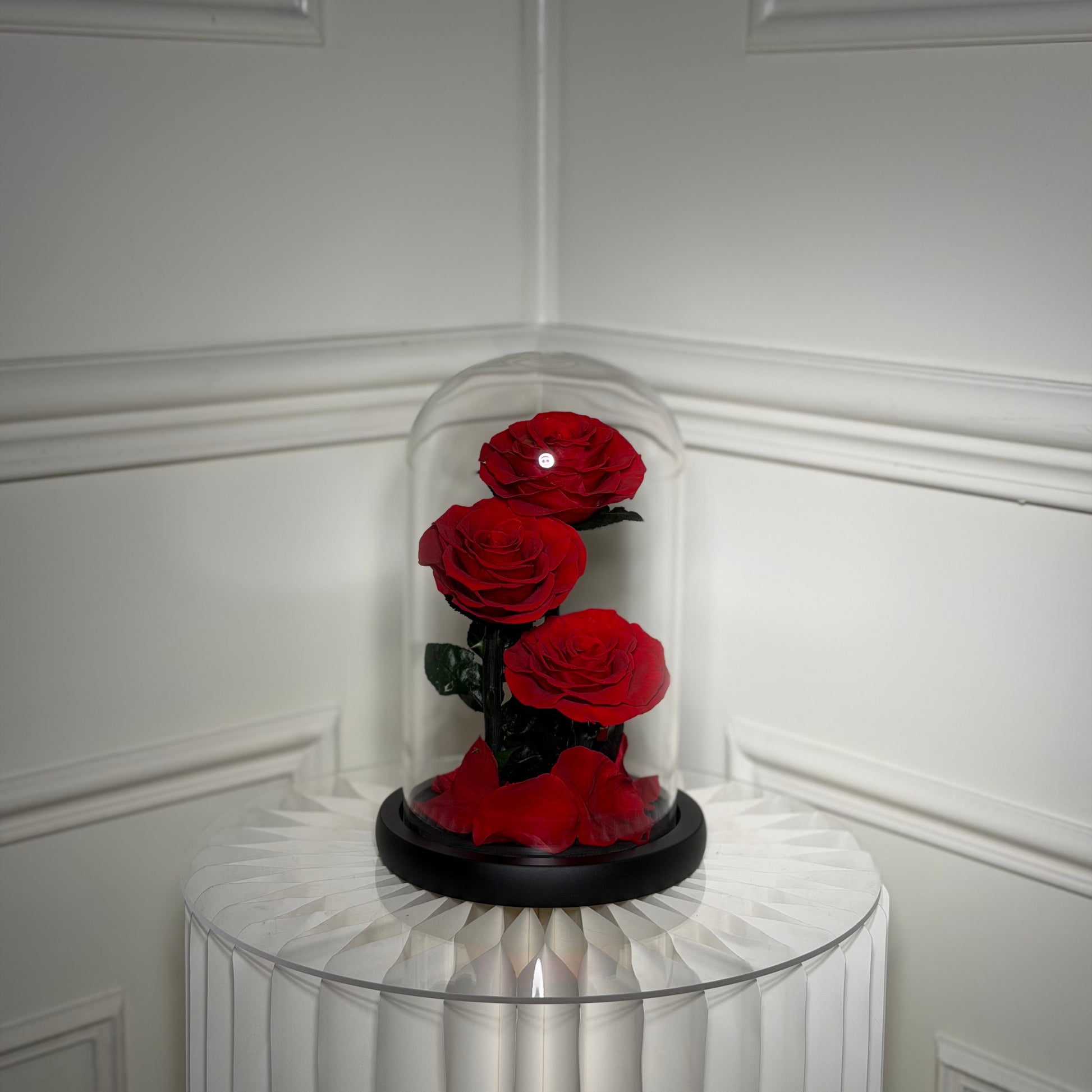 cloche rose eternelle rouge modele classique sous verre