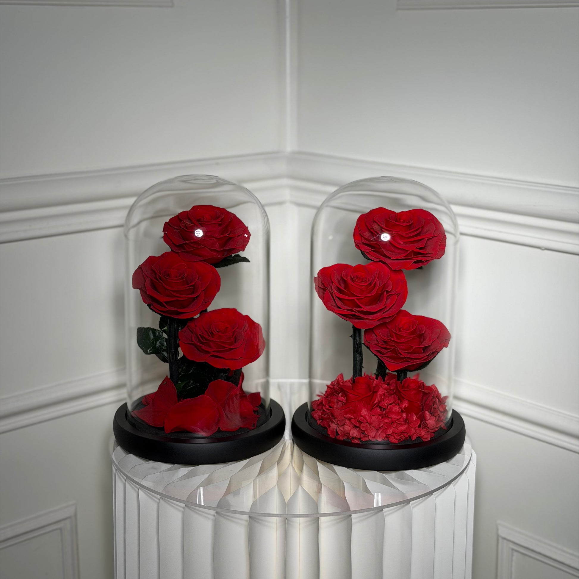 rose eternelle rouge sous cloche avec socle noir