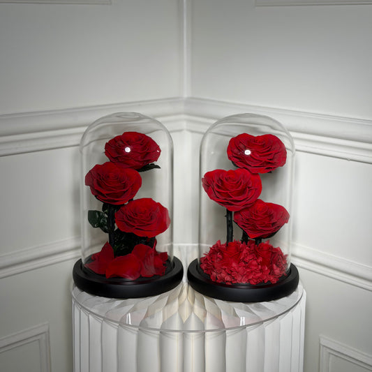 rose eternelle rouge sous cloche avec socle noir