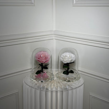 rose eternelle sous cloche base cristal transparente