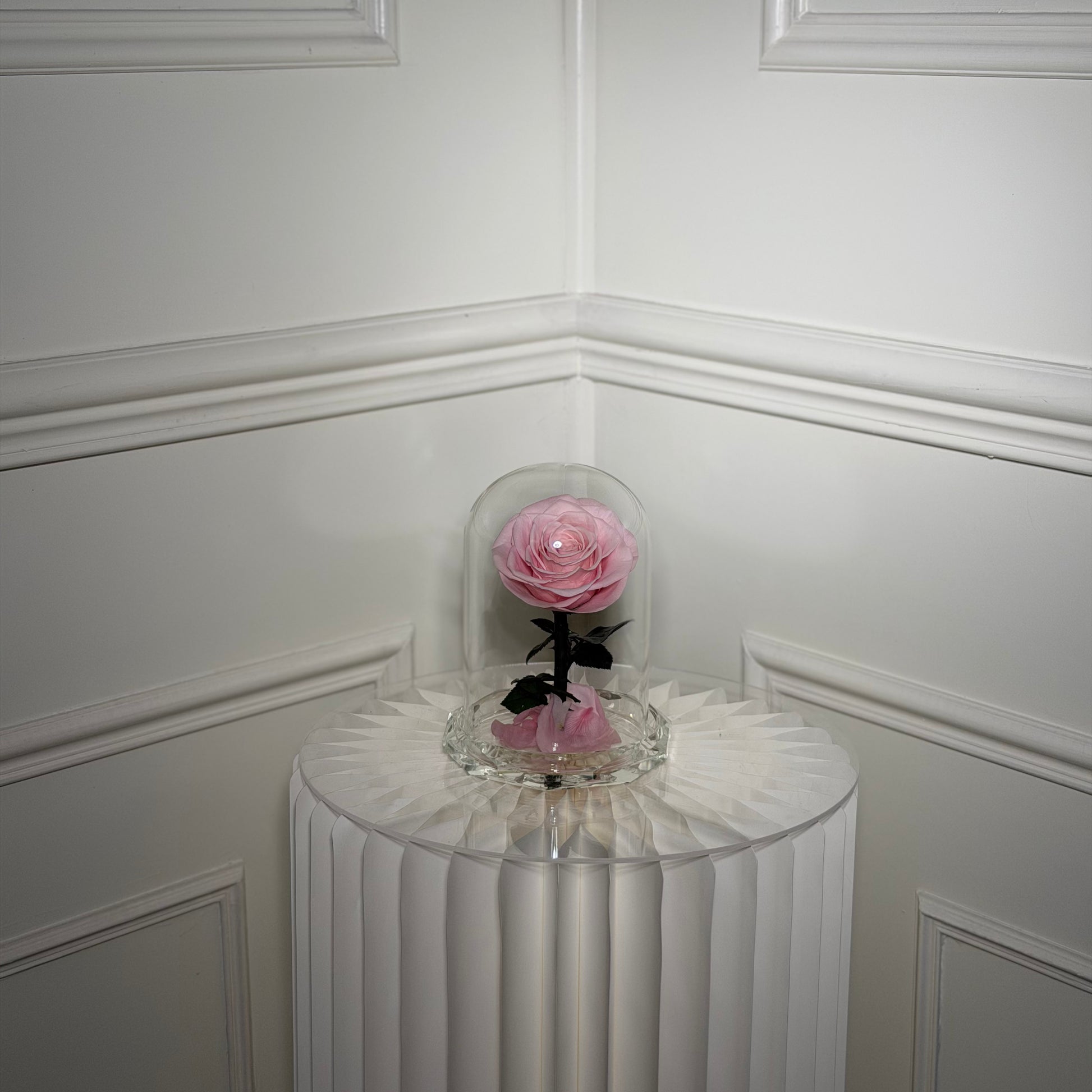 cloche cristal rose eternelle rose sous verre