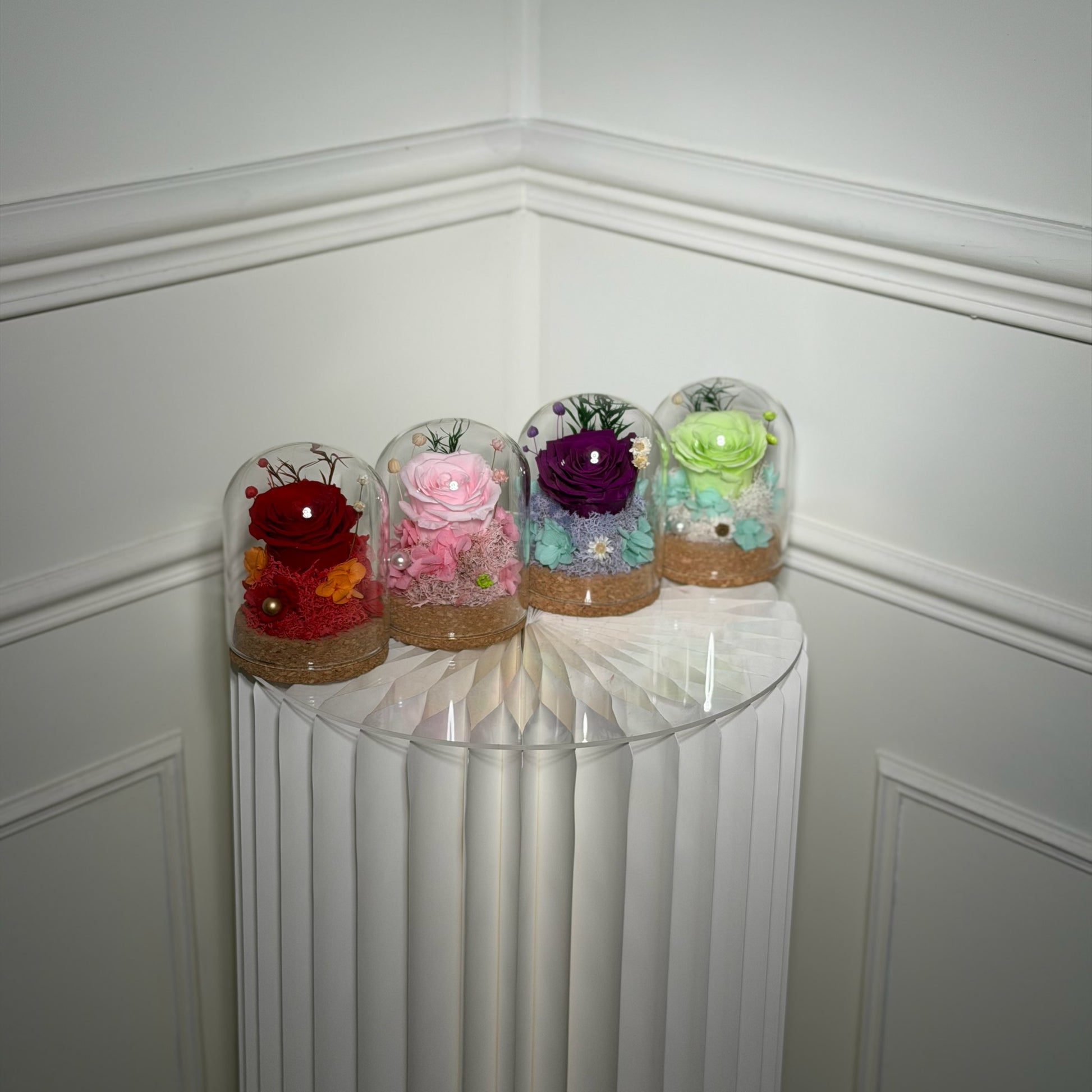 mini rose eternelle sous cloche 3 couleurs cadeau original