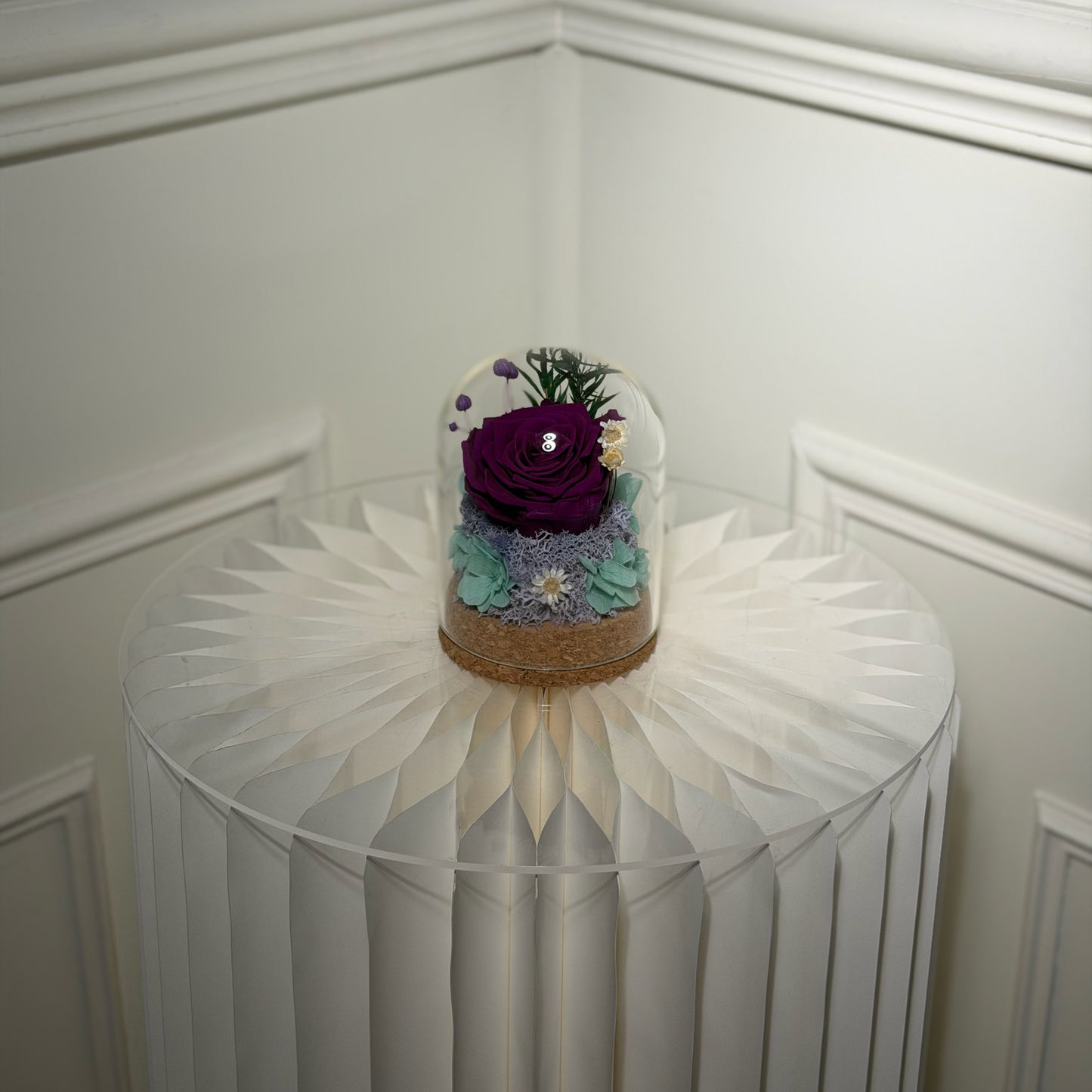 mini rose eternelle sous cloche violette composition florale