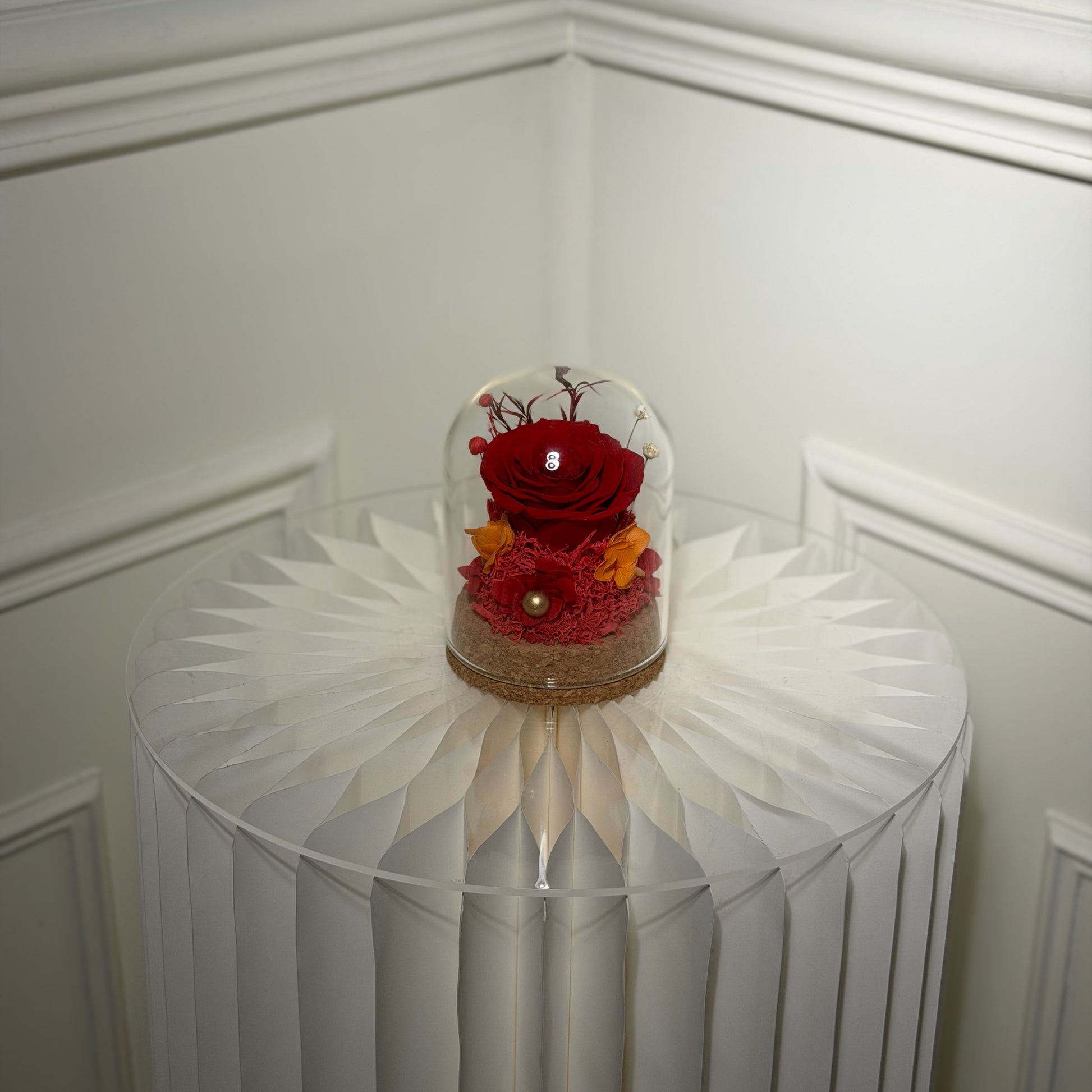 mini rose eternelle sous cloche rouge cadeau romantique