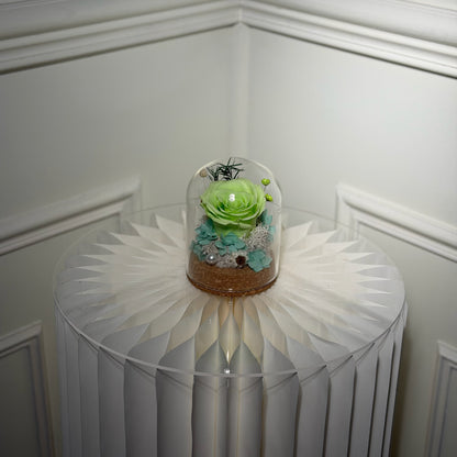 mini rose eternelle sous cloche verte cadeau original