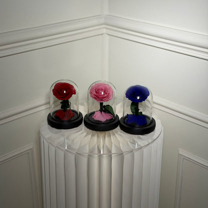 mini cloche rose eternelle rouge rose bleu