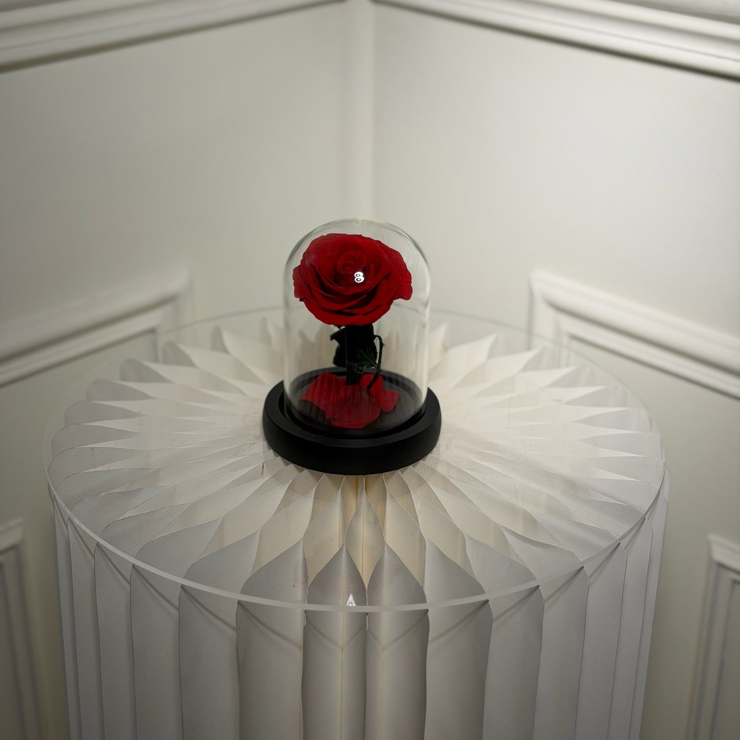 mini cloche rose eternelle rouge