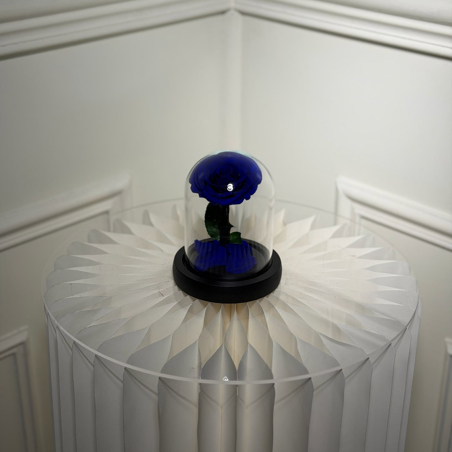 mini cloche rose eternelle bleue