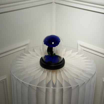 mini cloche rose eternelle bleue