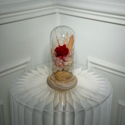 Cloche - Éclat de Tendresse